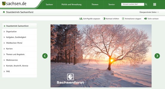 Sachsenforst